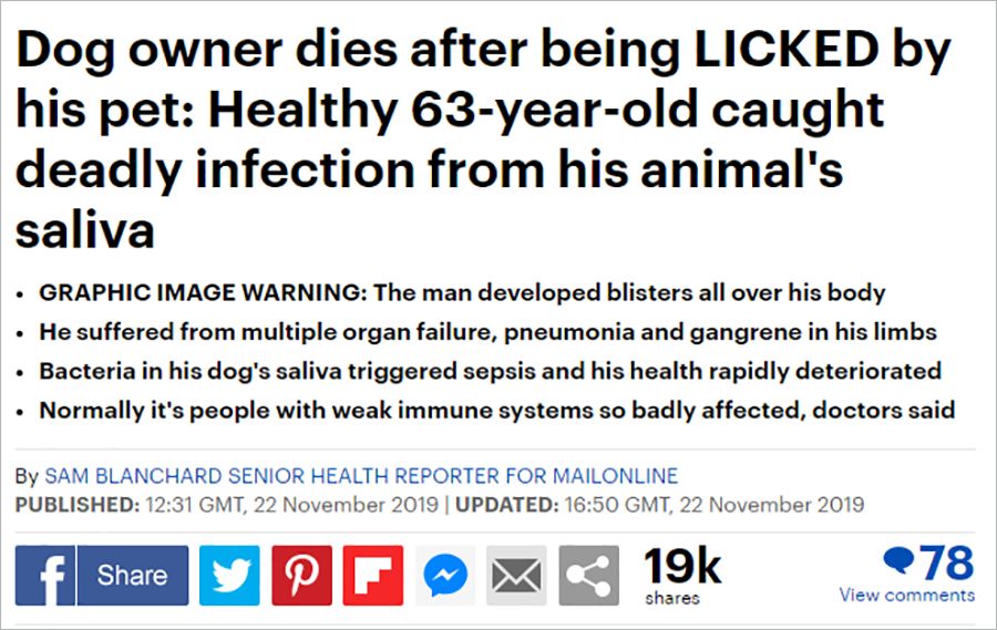 犬咬二氧化碳嗜纤维菌有什么特征,狗狗咬二氧化碳嗜纤维菌