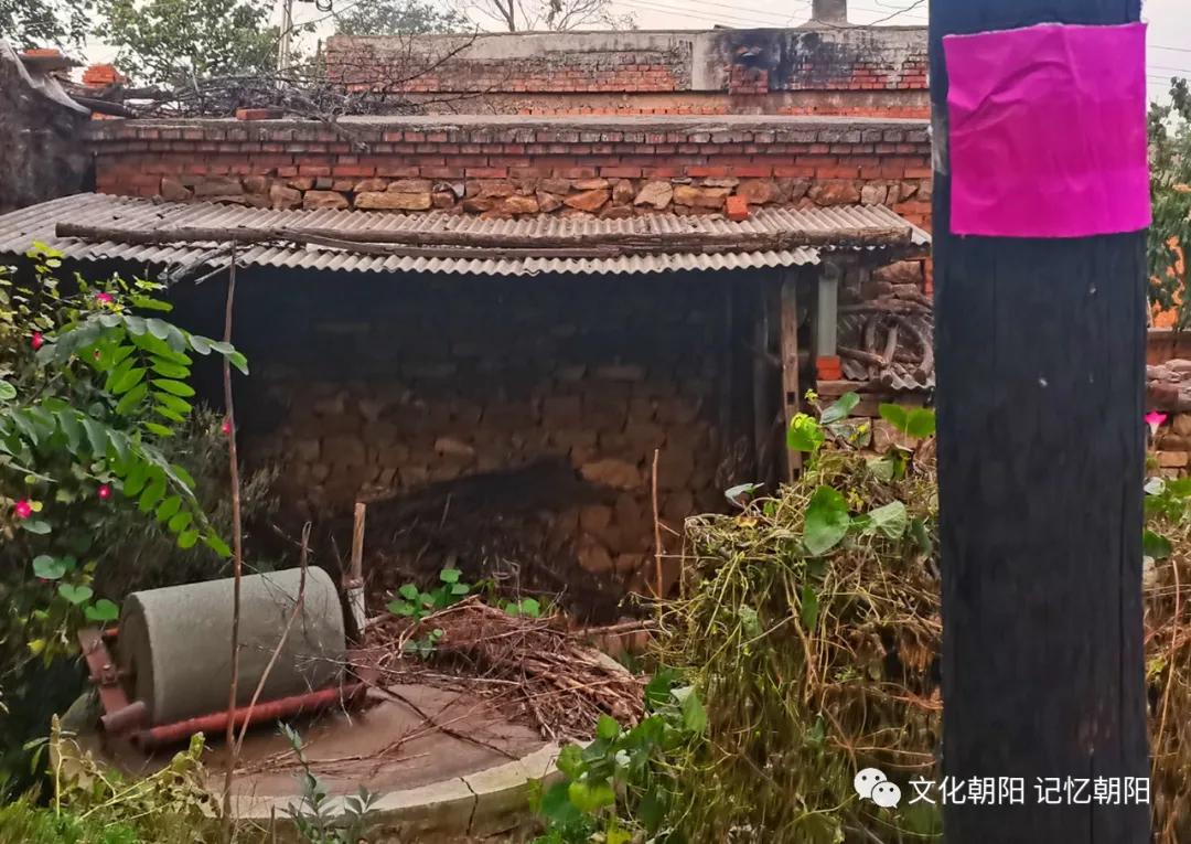 婚礼的习俗端洗脸水要说话,婚礼的习俗也特别朴实