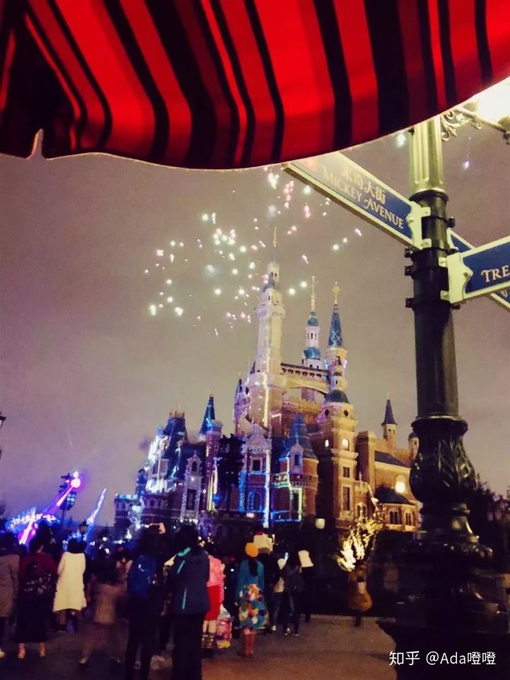 独自带2岁的娃怒刷了10次上海迪士尼，不听我听谁？