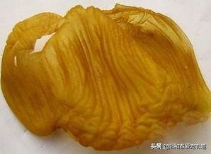 猫咪挑食厌食怎么办,猫咪挑食厌食怎么调理