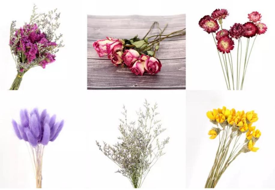 鲜花制作干花方法教程,鲜花制作干花的方法