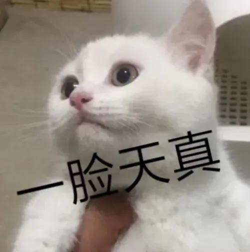 遗失的美好完整版,遗失的美好