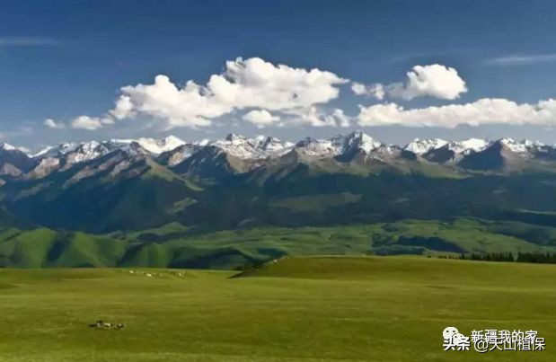 新疆南疆第一区阿拉尔地区,阿拉尔南疆重镇