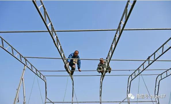 小型温室大棚用什么样的大棚,塑料大棚对比玻璃大棚