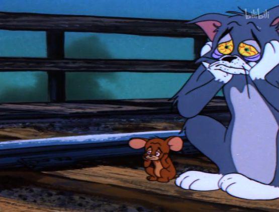小时候看不懂猫和老鼠的故事,小时候看猫和老鼠动画片