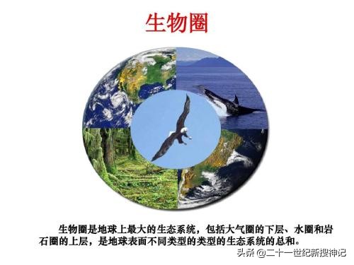 探索地球的奥秘内容,探索宇宙奥秘地球是什么样的