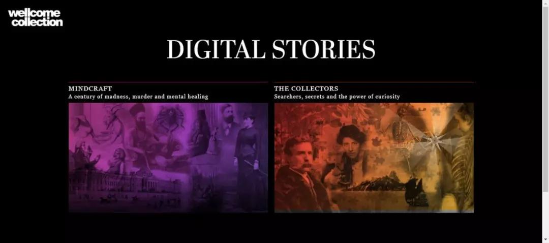 线上展览会有哪些品牌参展,线上展览需要哪些标配