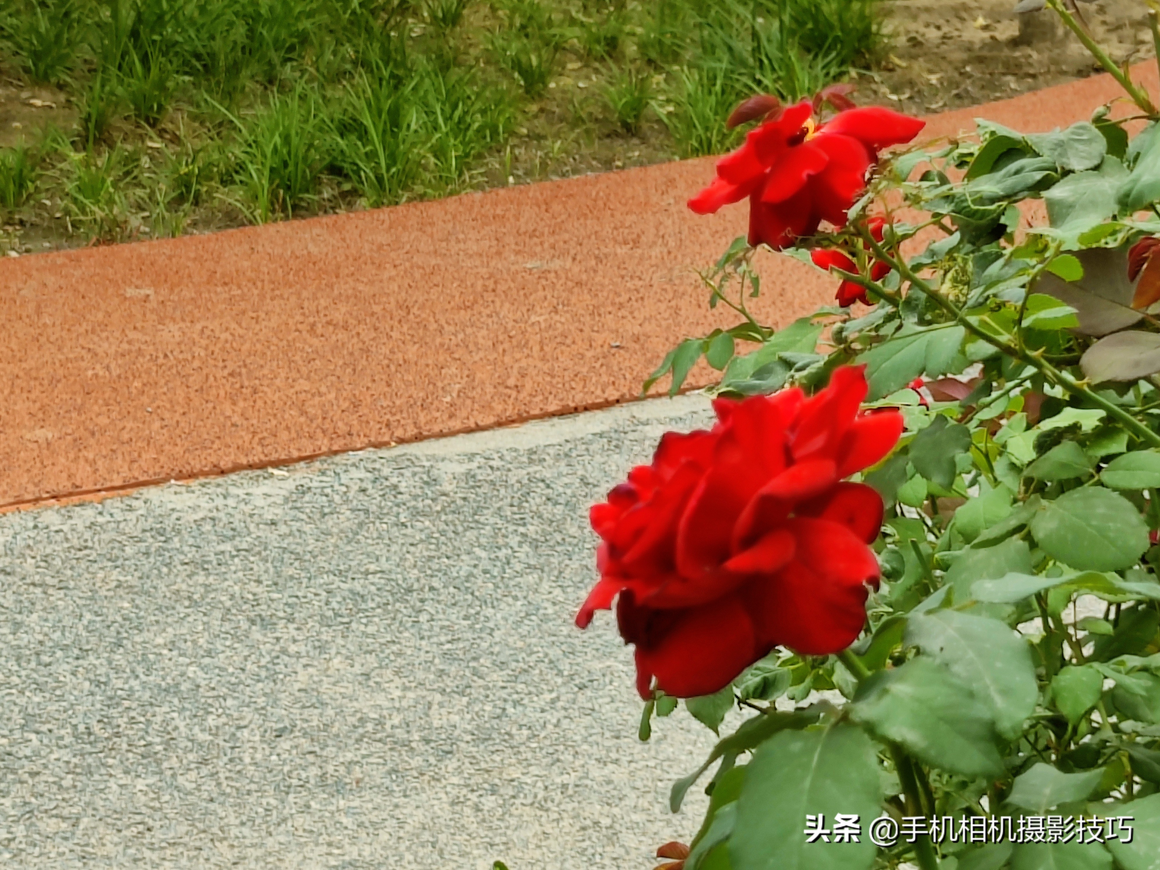 为什么大部分手机不使用长焦镜头,手机的长焦镜头变焦时会动吗