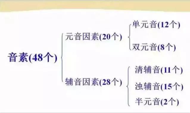 音标发音48个正确发音口型,小学英语音标发音48个口型