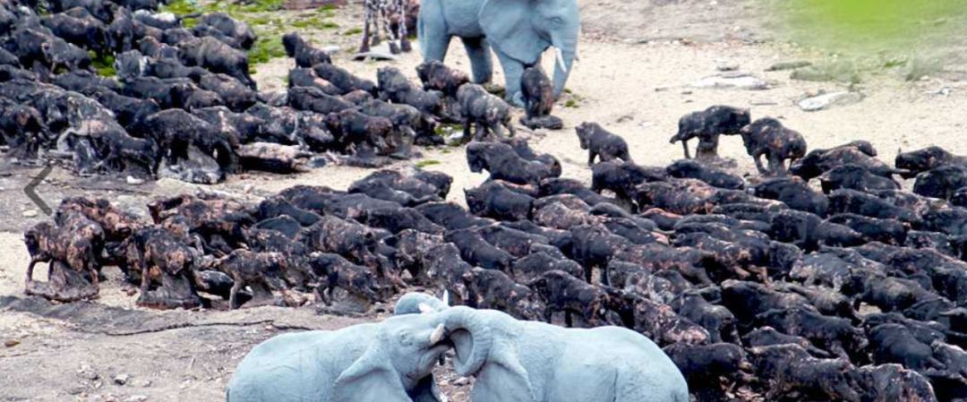 推荐最好玩的乐园,有没有值得玩的地方推荐一下