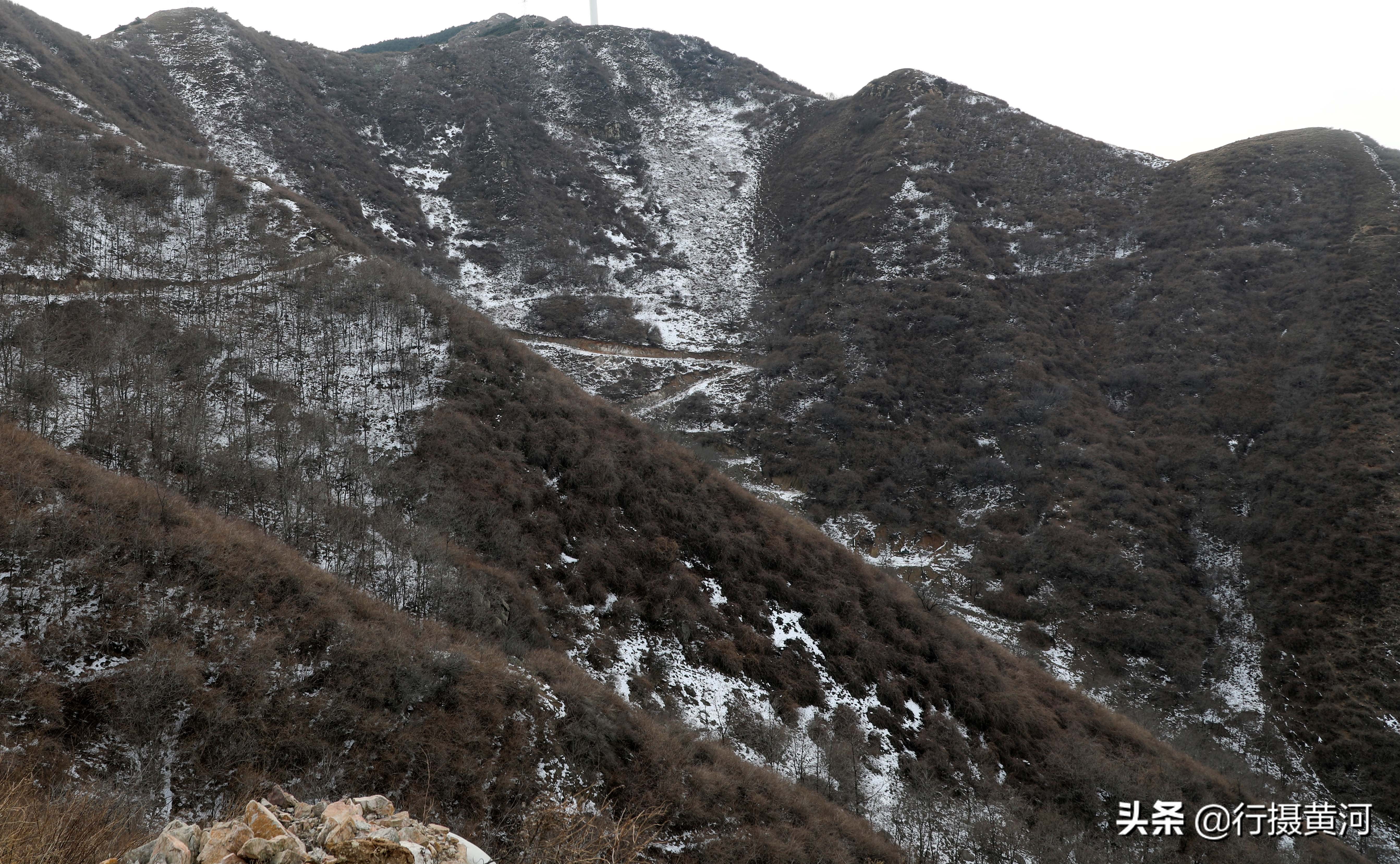 90后夫妻山中搞养殖飞鸡,6旬夫妻深山养牛