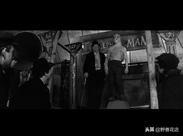 关于大象的经典电影,有关于大象的电影