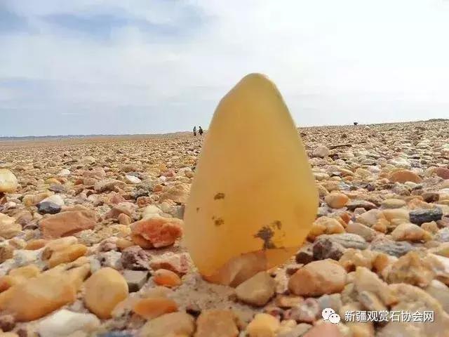 戈壁滩捡玉怎么分辨玉和石头,金丝玉三剑客戈壁滩捡金丝玉