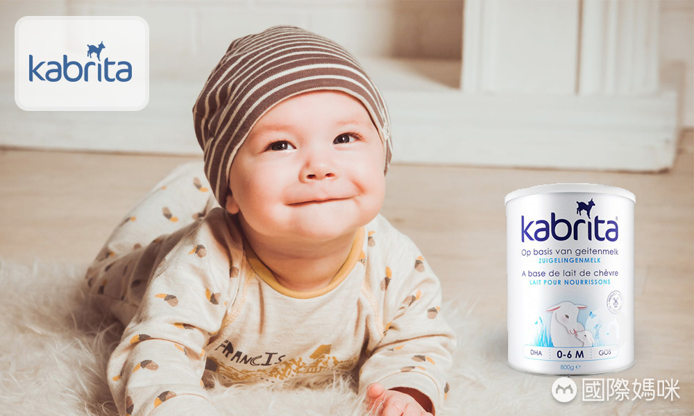 荷兰佳贝艾特是绵羊奶还是山羊奶,荷兰佳贝艾特羊奶粉怎么辨别真假