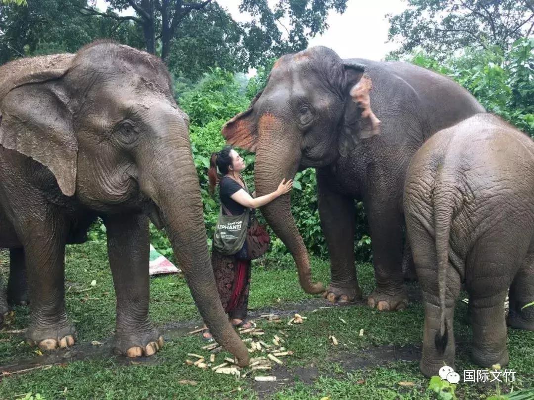 丛林深处，爱上“大脚丫”