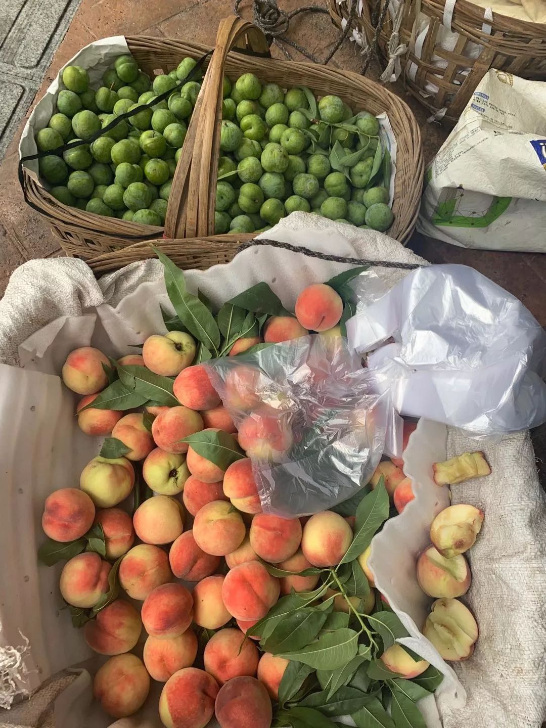 世警会来到成都吗,世警会成都推介