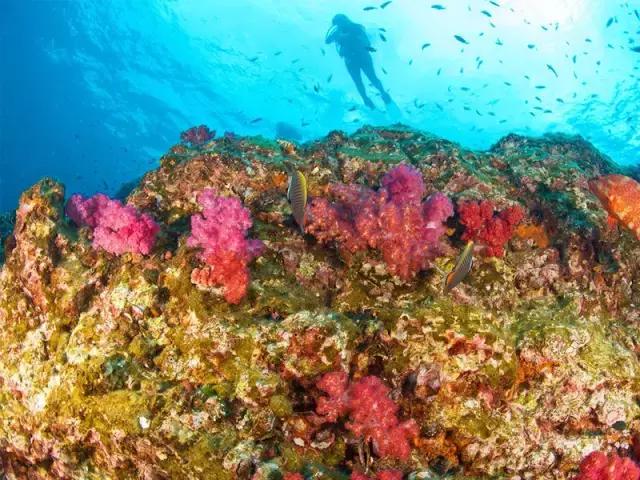 蜜月旅行就去这些海岛你值得拥有,10个最适合蜜月旅行的海岛