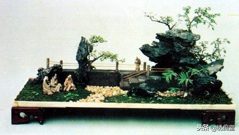 丛林式盆景欣赏,盆景欣赏及制作