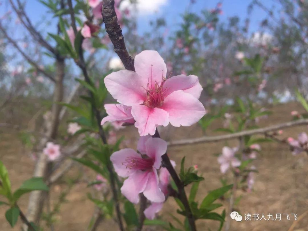 普通人如何投资赚钱,普通人怎样投资最好