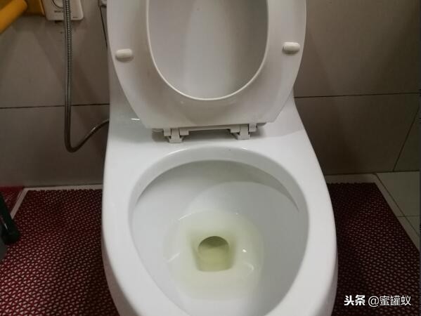 卫生间有小飞虫和臭味怎么解决,卫生间水盆下边反臭味怎么解决