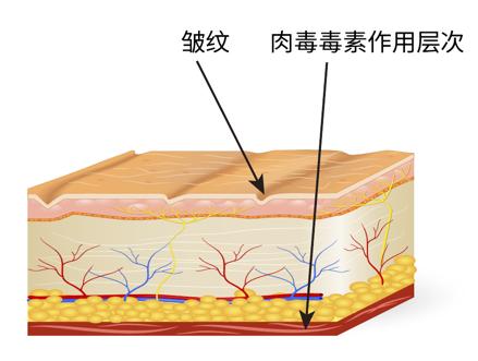 无花护肤模式,无花护肤品防晒效果