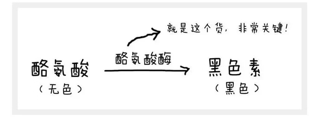 美白成分排行377,美白大作战推荐tips