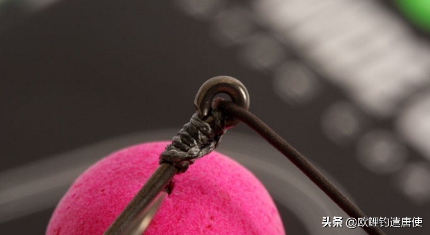 话说欧鲤钓组全集,欧鲤钓组可以钓哪些鱼