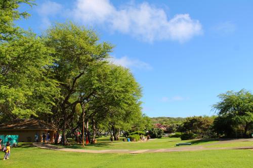 天气热草坪浇水方法图解,天气冷了草坪怎么处理