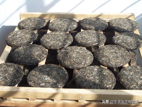 普洱生茶制作全工序,生普洱茶制作工艺的全过程