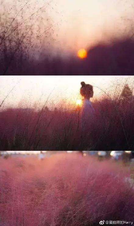 上海最大的绿地在哪里,上海人家万科广场