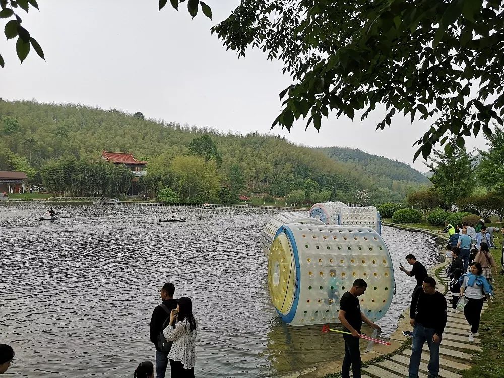 叮咚邀请函请注意查收,叮咚邀请函查收