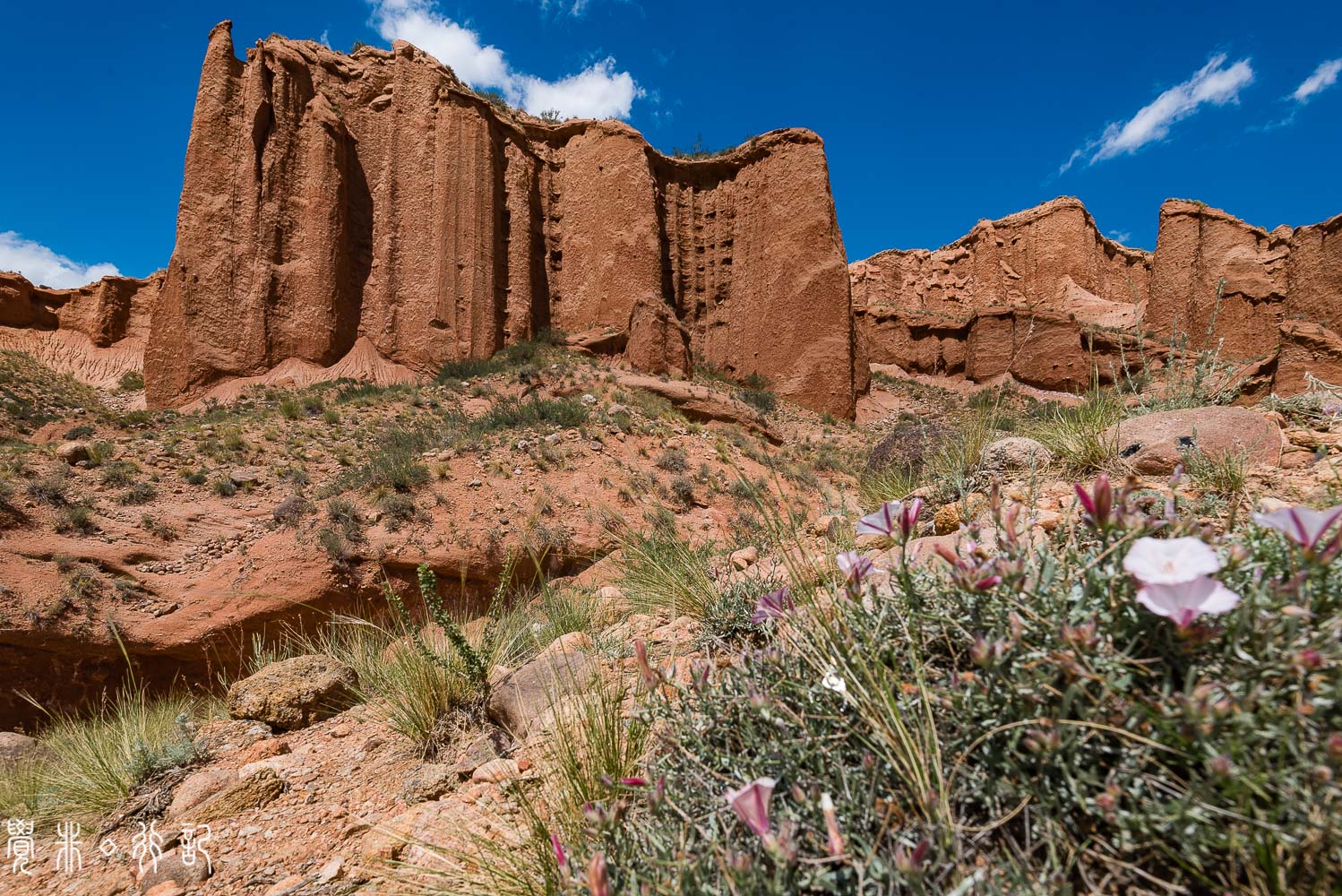 温宿大峡谷和甘肃七彩丹霞,温宿县丹霞大峡谷