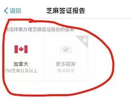 加拿大签证需要无犯罪记录证明吗,加拿大签证存款证明要原件吗