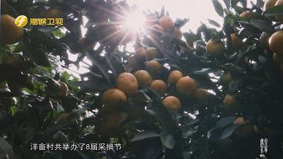 中国绿色村庄（洋畲村），不知道的以为自己误闯欧洲小镇