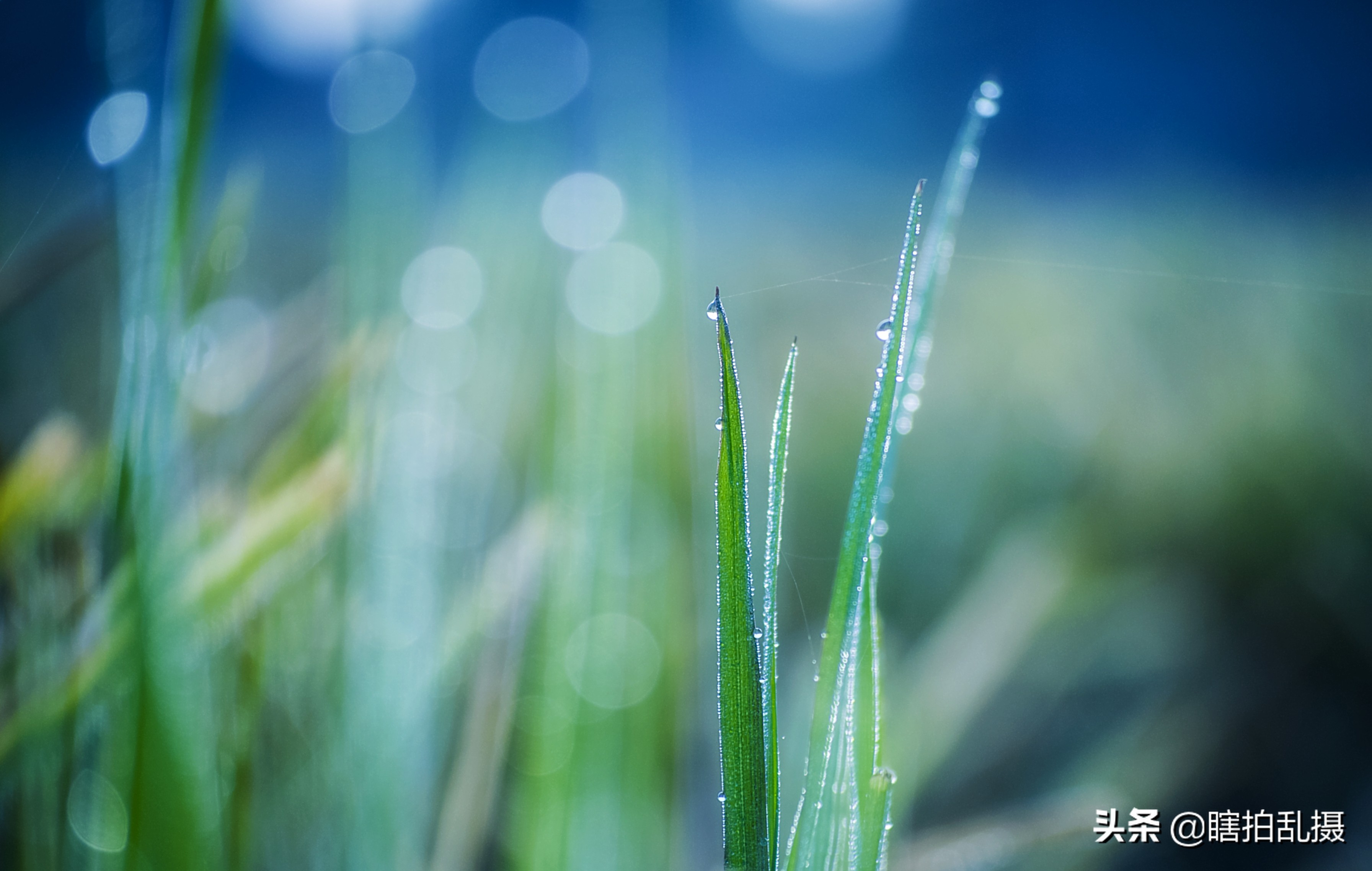 我的摄影器材大集合,最新入门单反相机推荐