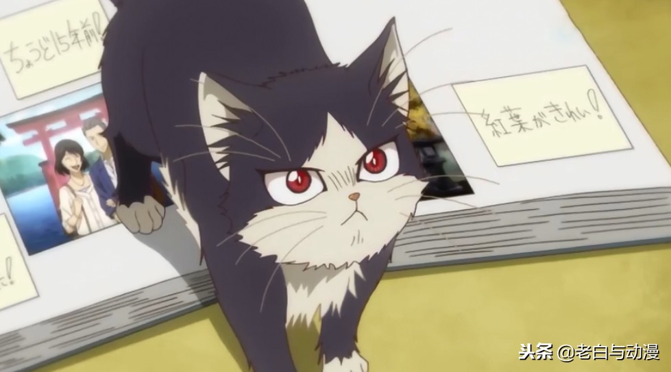 动漫排行榜前十名新番有哪些,热门的动漫新番有哪些