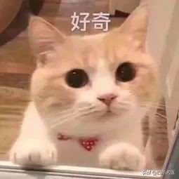 1991骞翠互鏉ョ編鍥界檶鐥囨浜＄巼,绁炲垔ca骞村害鐧岀棁缁熻