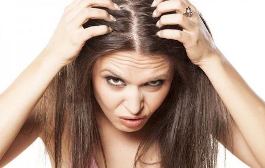 掌握这四点轻松拥有领导力,分享一下去屑经验