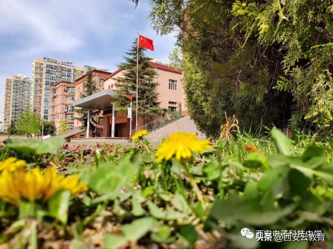 010413选择西科,未来可期西安电子科技中学2020年新高一等你来