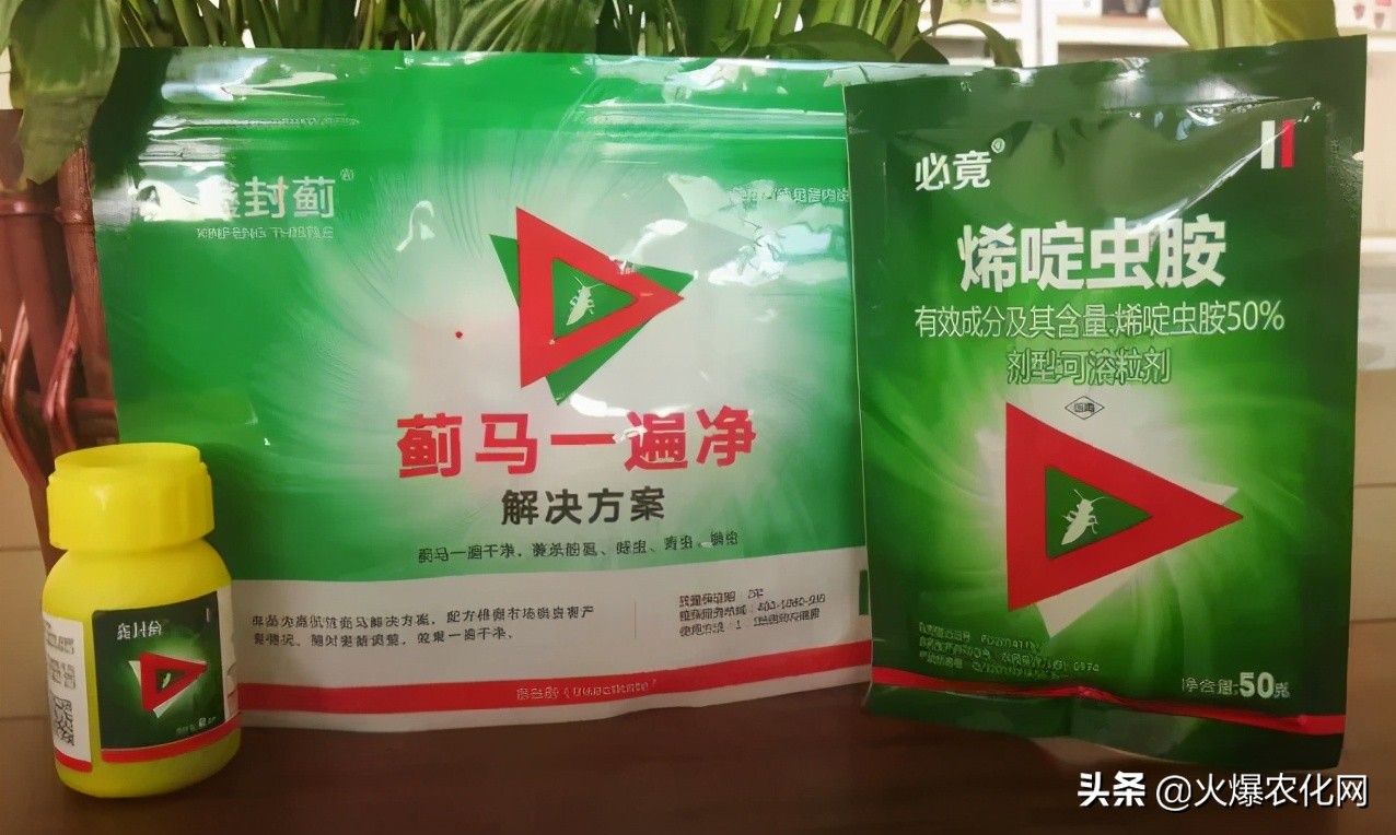 蓟马专用杀虫卵剂,除虫灭蚊大杀器