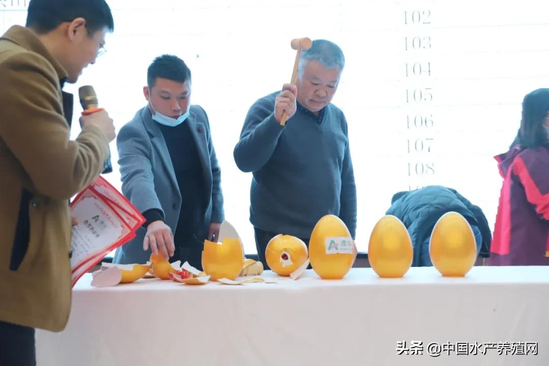 一场盛会订海特料超10000吨！看澳华如何在华中水产料市场新变局中，引领行业新趋势，逆势突围