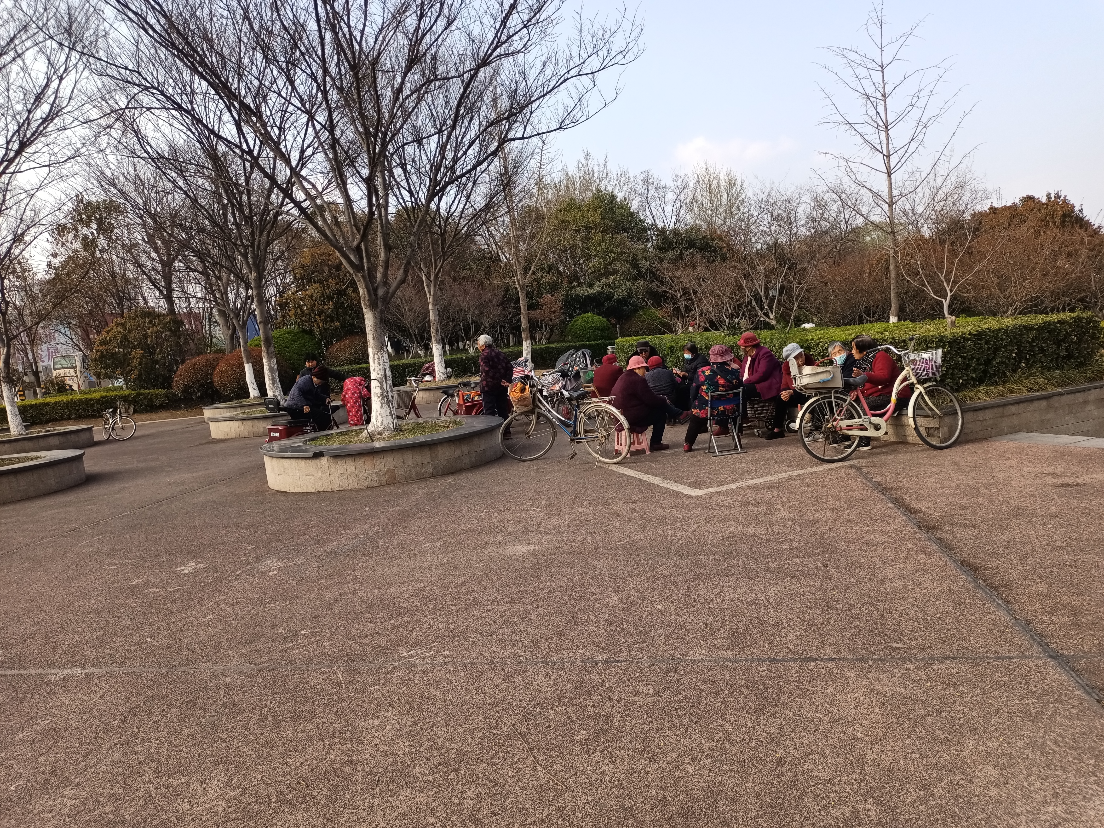 春暖花开正当时,丰县河滨公园成了很多丰县人的休闲胜地