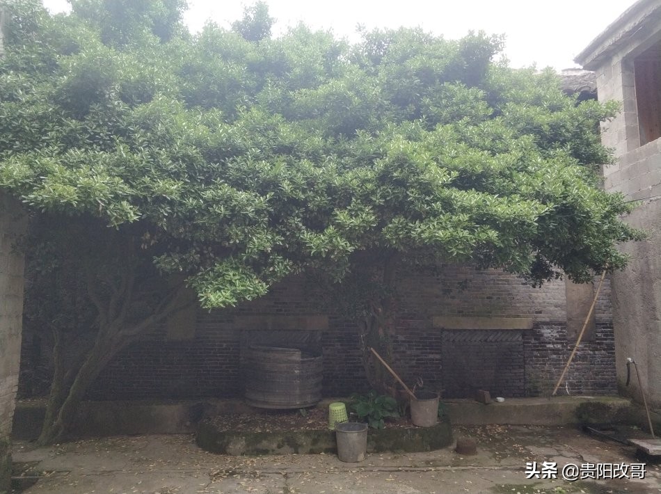 贵阳北衙村*迁拆**,红色史迹高公馆能否留存?