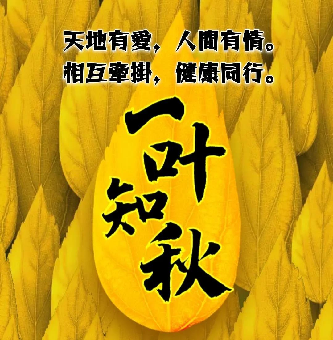 周一早安问候表情包,周末早上好表情包带字问候