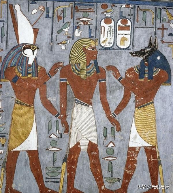 类人猿违背进化论疑点,进化论中的疑点是什么