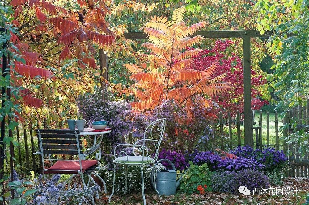 如果气温变冷需要准备什么,温度降到几度花搬到室内