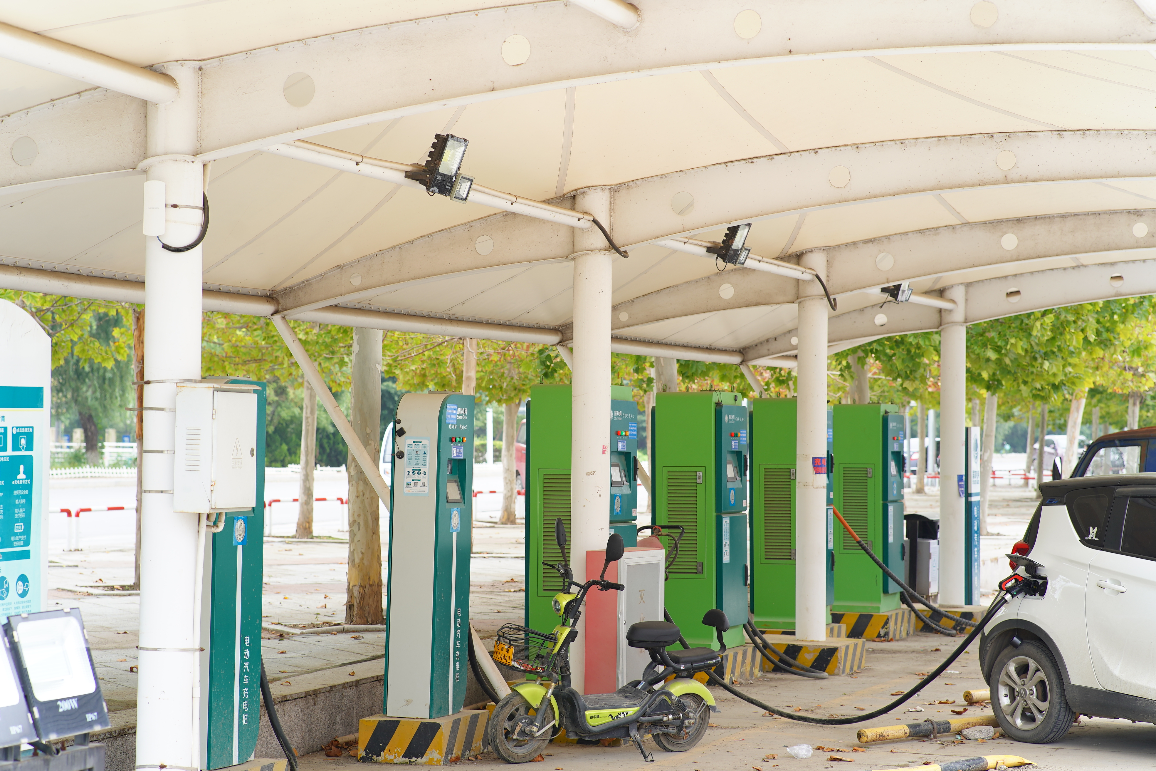 瀹濆澔浜触鏂板煄涓轰粈涔堟槸楝煎煄,瀹濆澔浜触鏂板煄杩樻槸楝煎煄