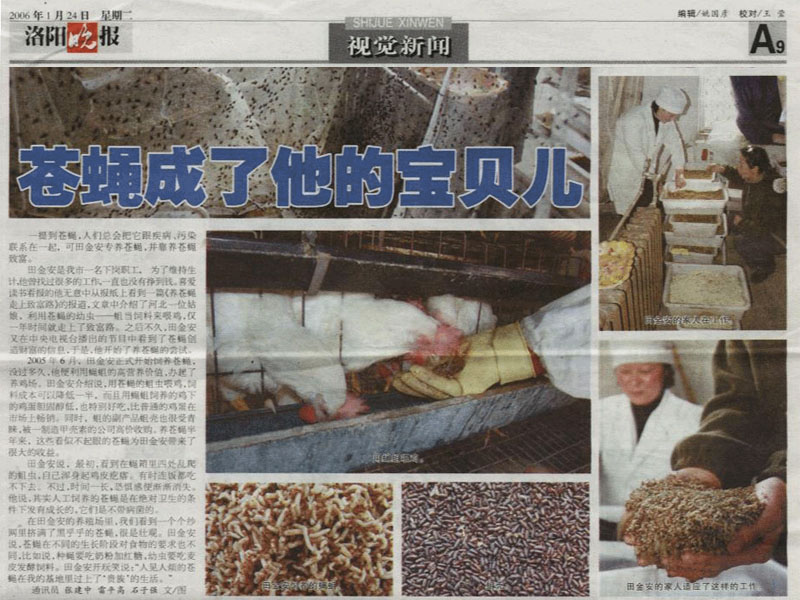 经济学家于光远：话说苍蝇