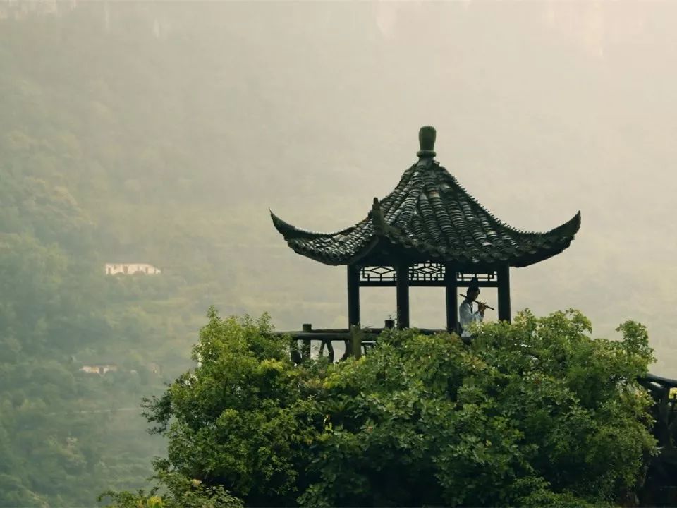 这就是长江,一年四季的长江