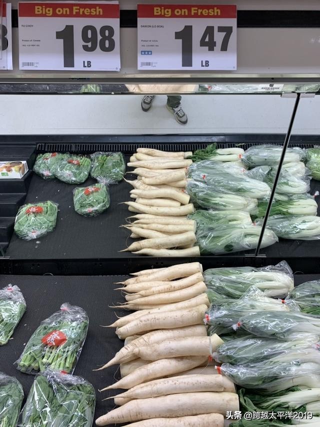 加拿大多伦多costco购物必买 (加拿大必买超市)